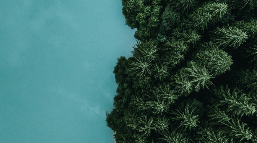 Permanent change versus temporary setback &ndash; a Japanese perspective