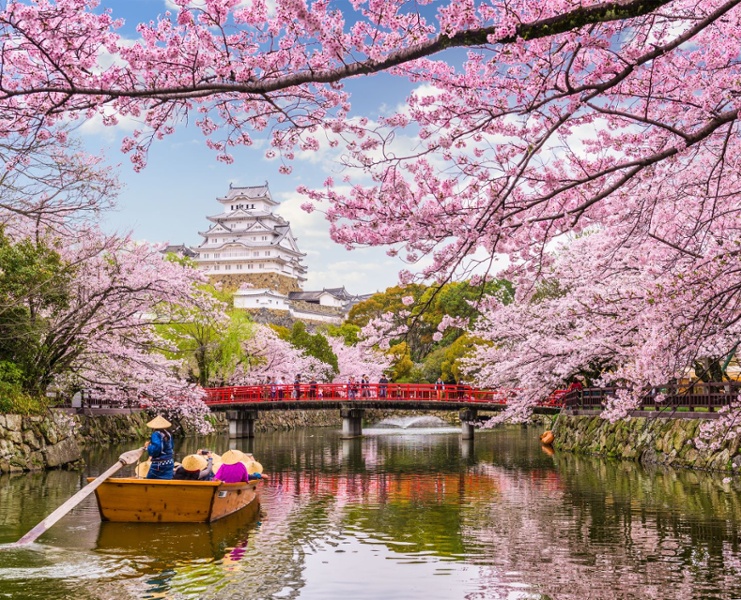 The RSMR Broadcast: Japan & the endless investment opportunities