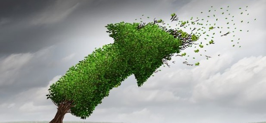 Messages and markets