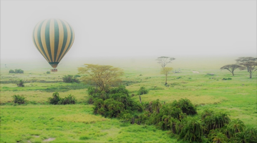 Wealth transfer worries are among advisers' concerns