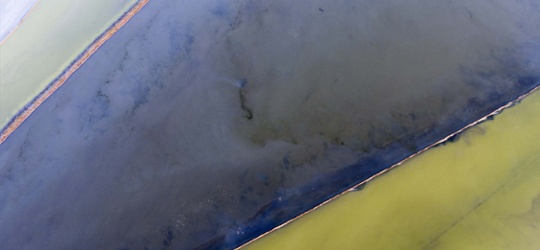 Baillie Gifford Manager Insights – Managed Fund