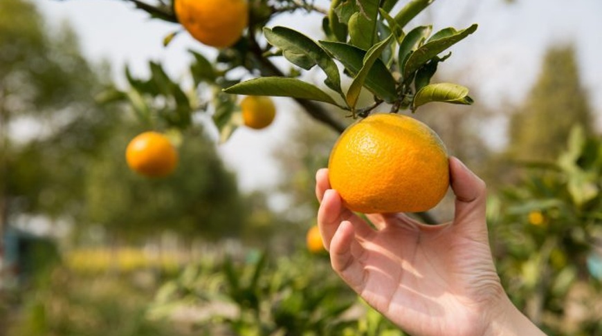 European smaller companies: fertile ground for active stock pickers