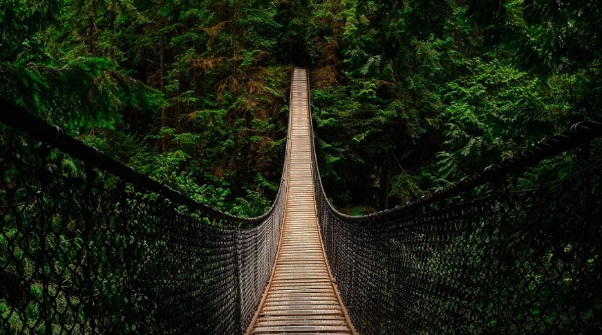 Quality stocks &ndash; shaken but sound