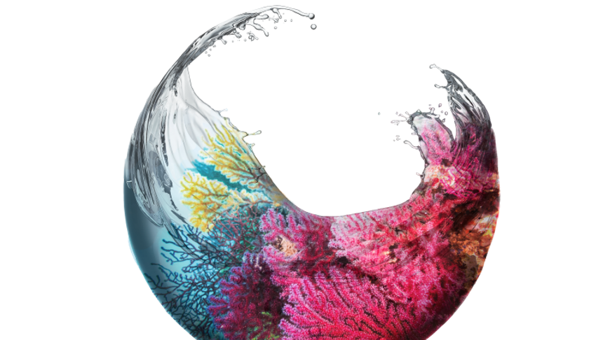 Introducing the Global Sustainable Equity annual report